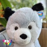 عروسک هاسکی نشسته