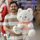 عروسک گربه نشسته لباس دار