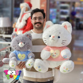 عروسک گربه نشسته لباس دار