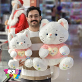 عروسک گربه نشسته لباس دار
