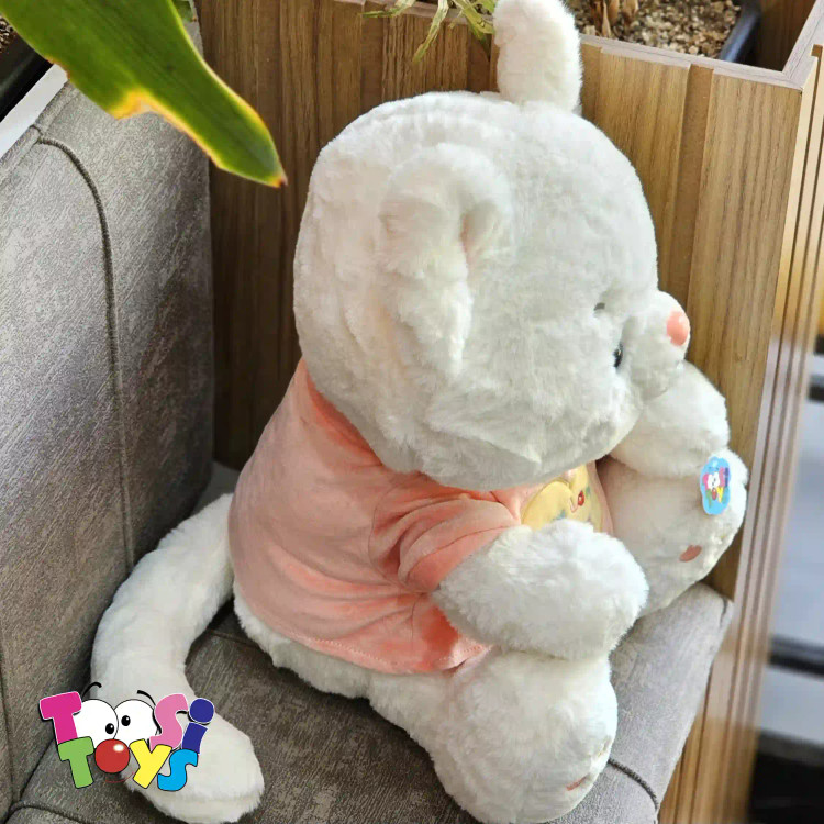 عروسک گربه نشسته لباس دار