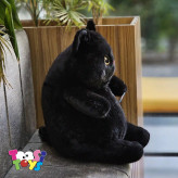 عروسک گربه خپل مشکی اورجینال