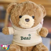 عروسک خرس لباس هودی BEAR