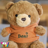 عروسک خرس لباس هودی BEAR