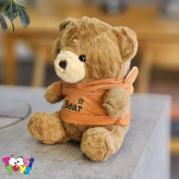 عروسک خرس لباس هودی BEAR