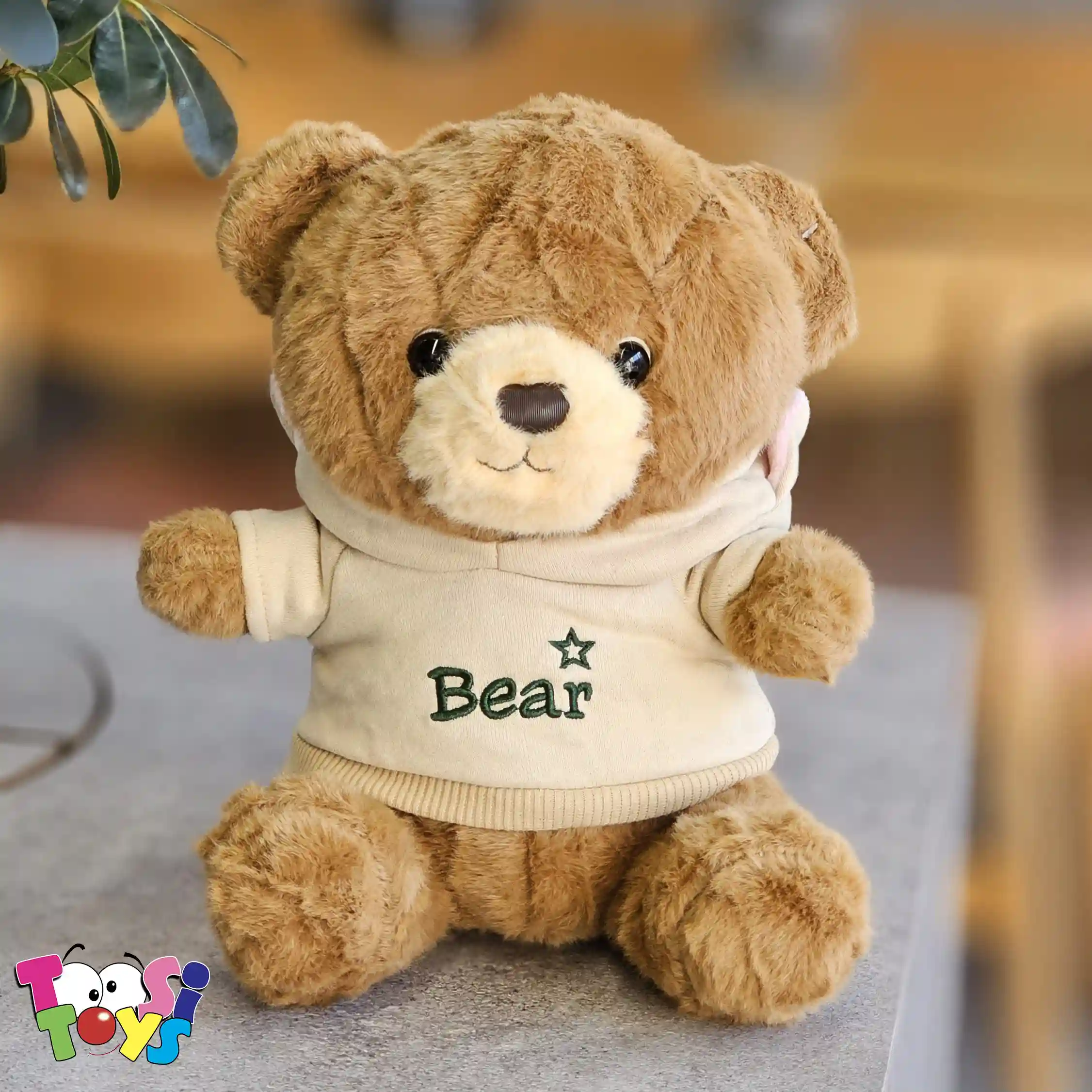 عروسک خرس لباس هودی BEAR
