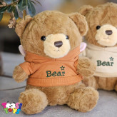 عروسک خرس لباس هودی BEAR