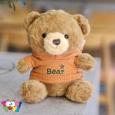 عروسک خرس لباس هودی BEAR