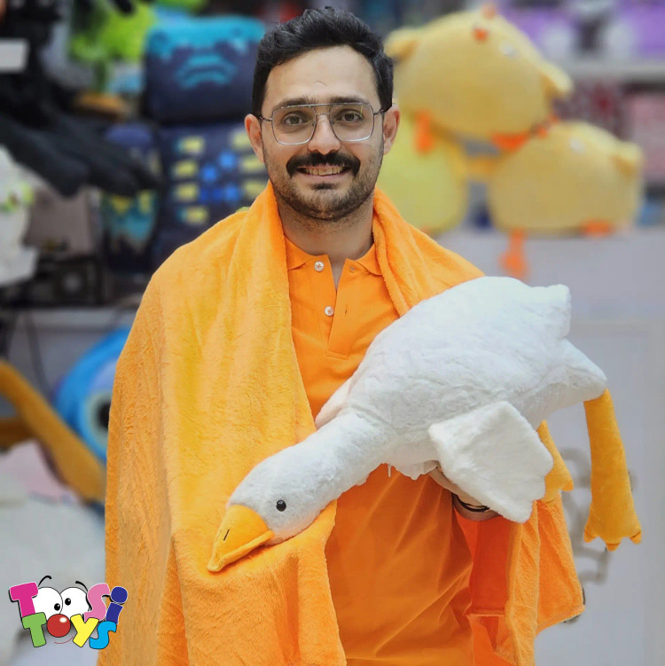 عروسک پتو بالشتی غاز خوابیده