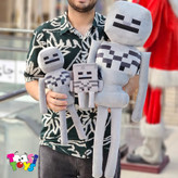 ماینکرافت اسکلت