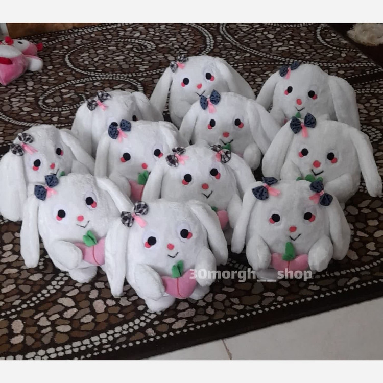 خرگوش زیبای هلو به دست(پس کرایه)