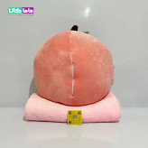 عروسک میوه دراگون بالشتی پتودار مدل خوک 50 سانتیمتر