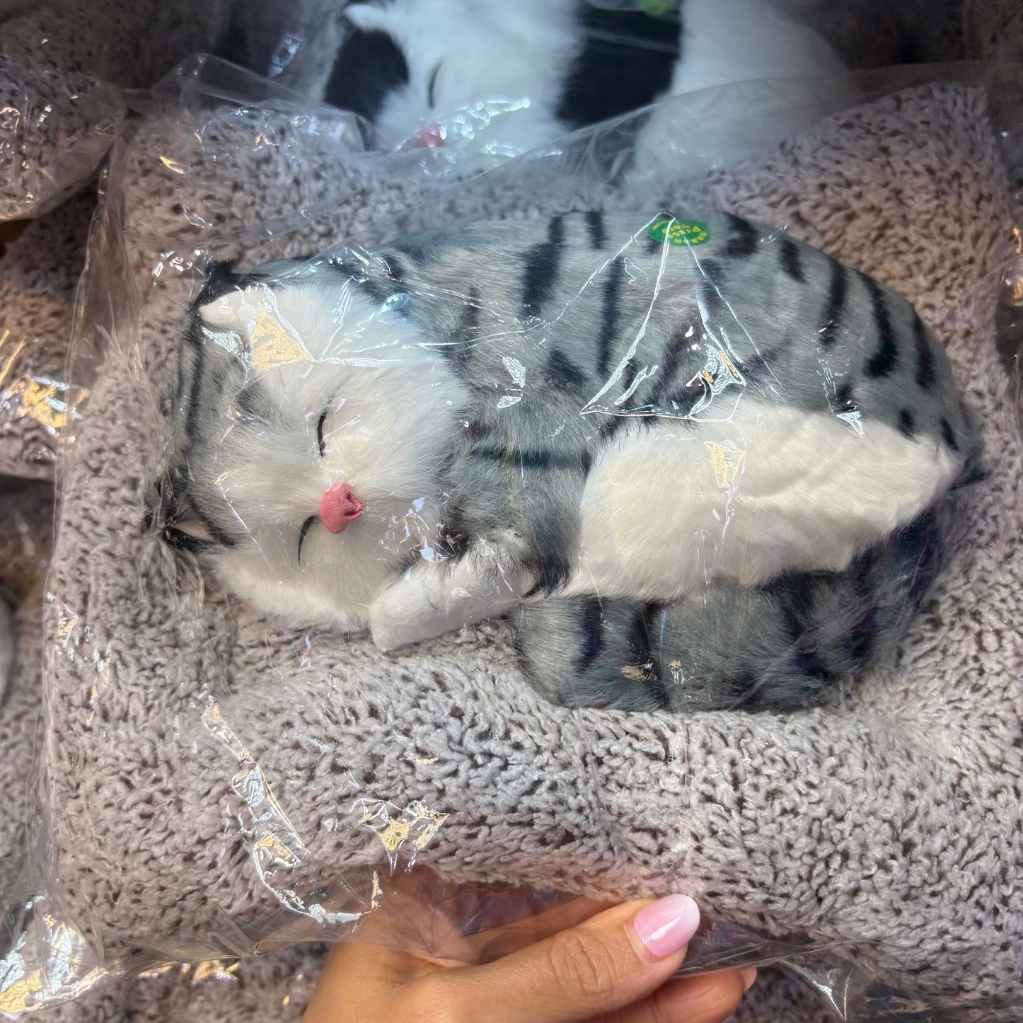 گربه بالشتی صدادار سایز 2