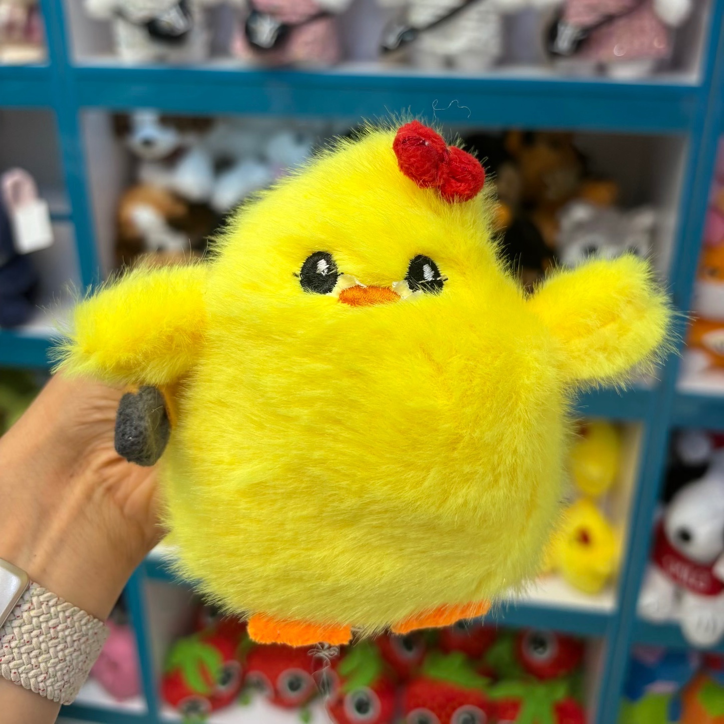 جوجه چاقو به دست