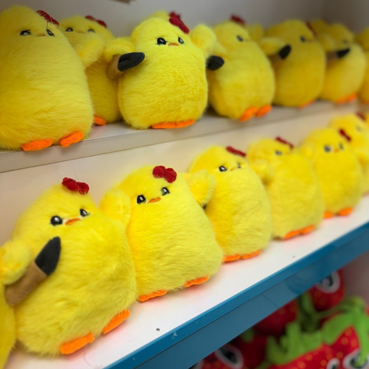 جوجه چاقو به دست