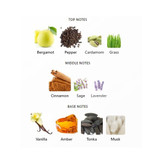 عطر مردانه Fragrance World Proud of You Intense