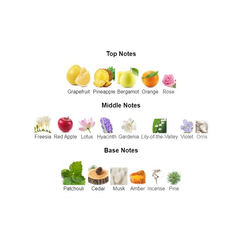 عطر زنانه 50 میل فراگرانس ورد زن Fragrance World Zan