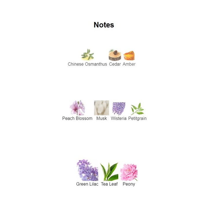 عطر زنانه فراگرانس ورد اکلت Fragrance World Eclat La Violette