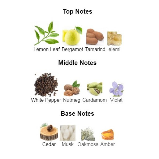 عطر مردانه لالیک سفید Lalique White