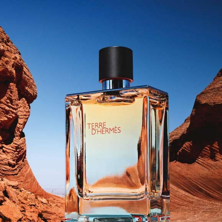 عطر مردانه آیوانهو yves de sistelle Ivanhoe