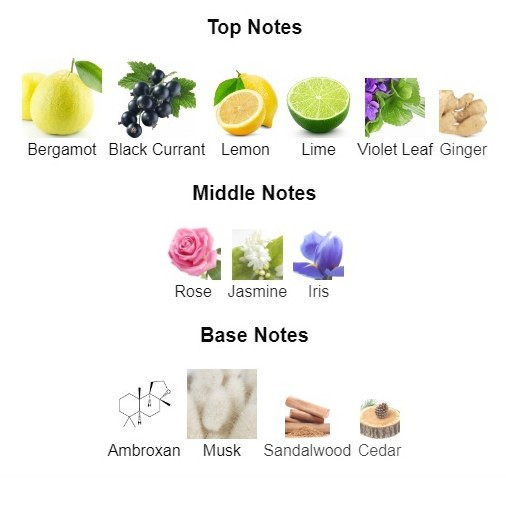 عطر آرماف کلاب د نایت سیاژ Armaf Club De Nuit Sillage
