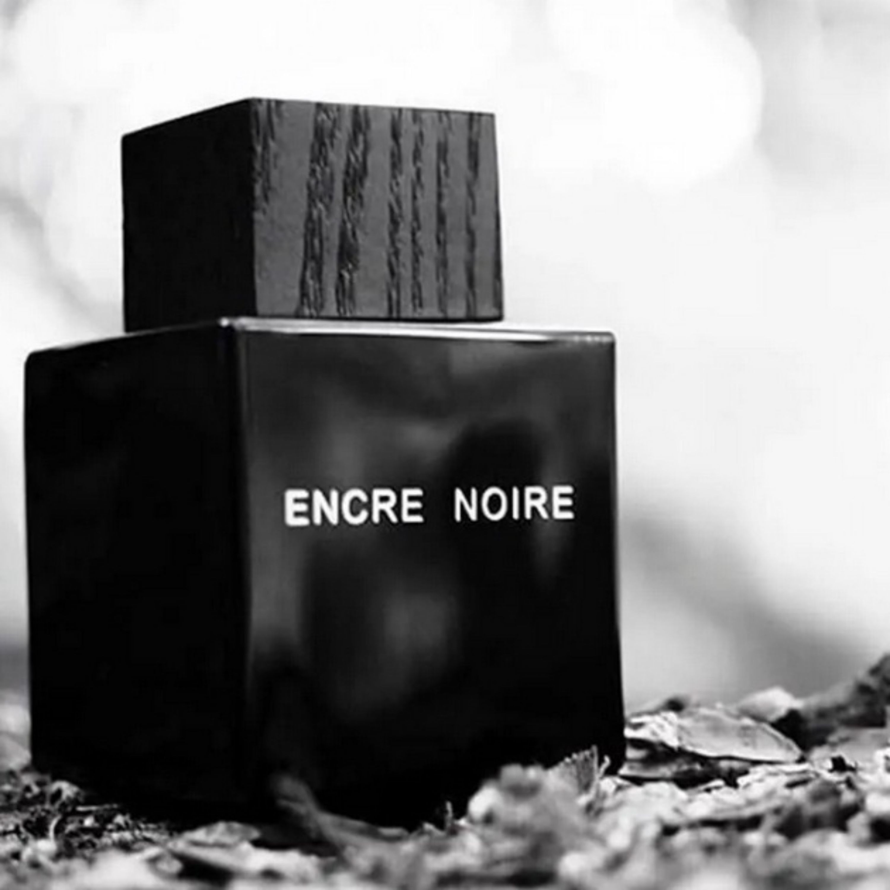 عطر مردانه Maison Alhambra Anchor Black