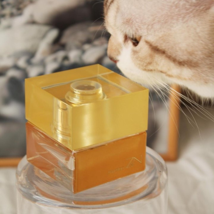 عطر زنانه Maison Alhambra Zeno