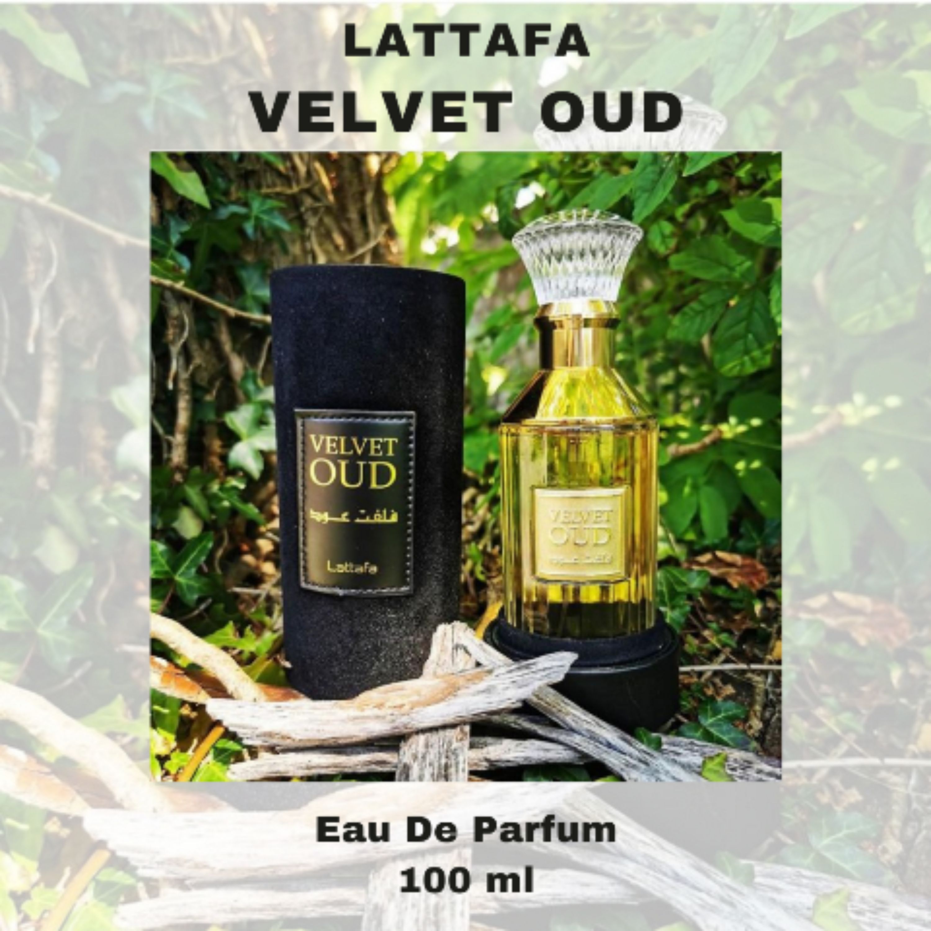 عطر لطافه ولوت عود  Lattafa Velvet Oud