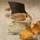 عطر ادکلن چستیتی مردانه برند رصاصی 100 میل