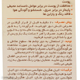 کرم ضدآفتاب بیرنگ سانسیف SPF50 مدل ACNE-FLUID مناسب پوست مختلط، حجم 50 میلیلیتر