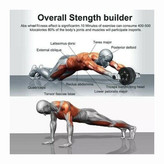 چرخ تمرین شکم مدل AB ROLLER