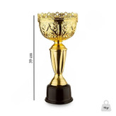 کاپ قهرمانی مدل NK-5958 مجموعه سه عددی
