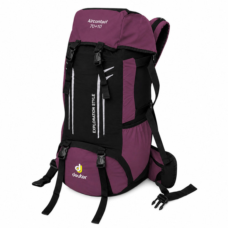 کوله پشتی کوهنوردی 60 لیتری مدل DEUTER - DTR305