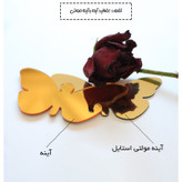 آینه اِلِنسی مدل AM-037