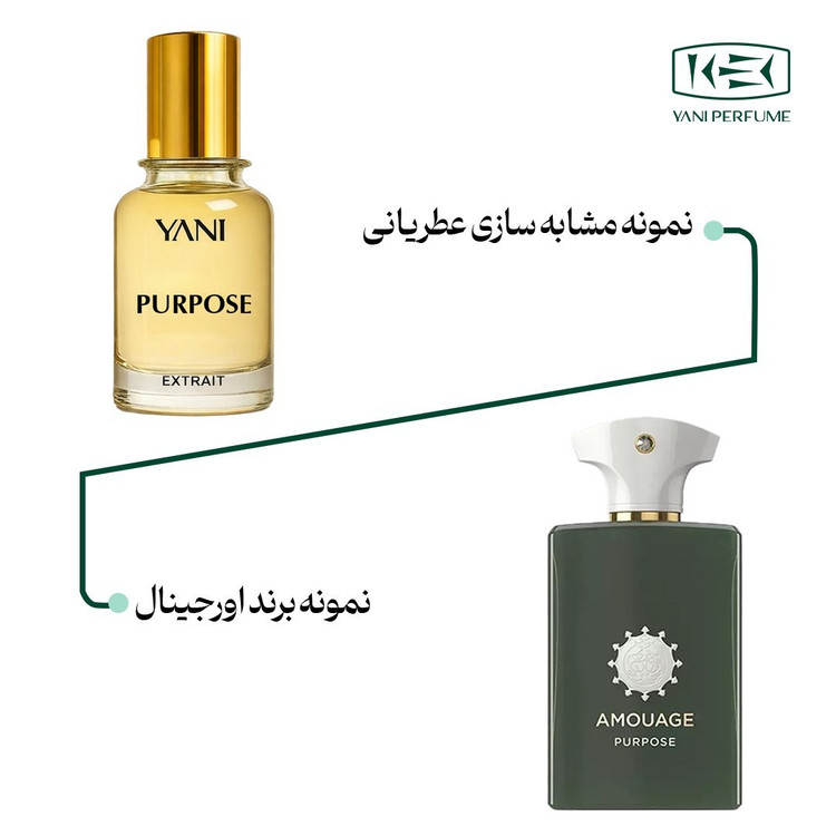 عطر آمواج پرپس با رایحه گرم حجم 50 میلی لیتر از برند عطریانی