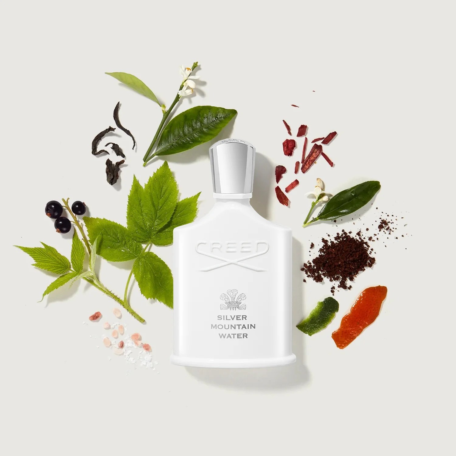 عطر سیلور مانتین با رایحه خنک و معطر، حجم 50 میل اکسترا دپرفیوم از برند عطریانی