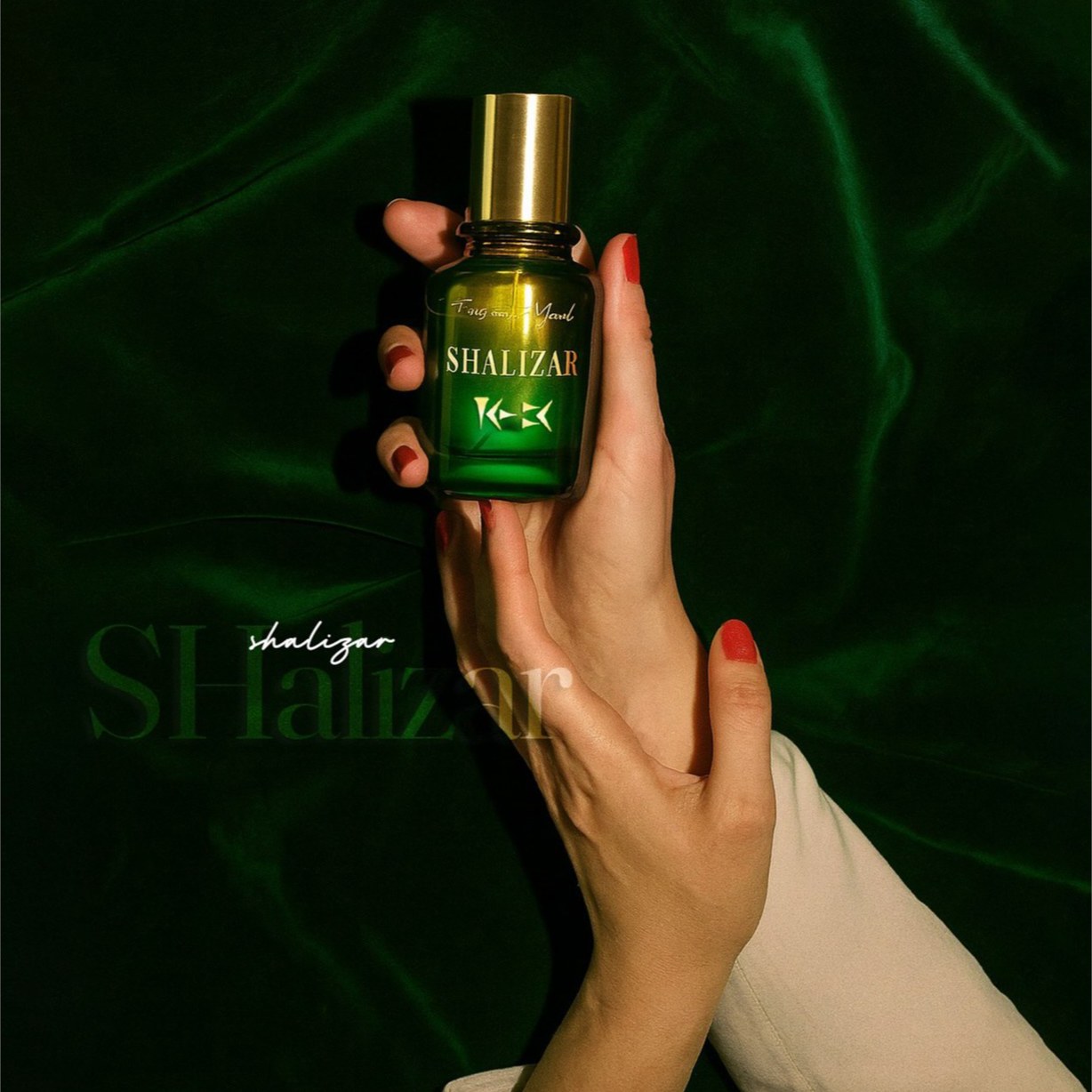 عطر شالیزار با رایحه ملایم حجم 50 میل اکسترا د پرفیوم از برند عطریانی