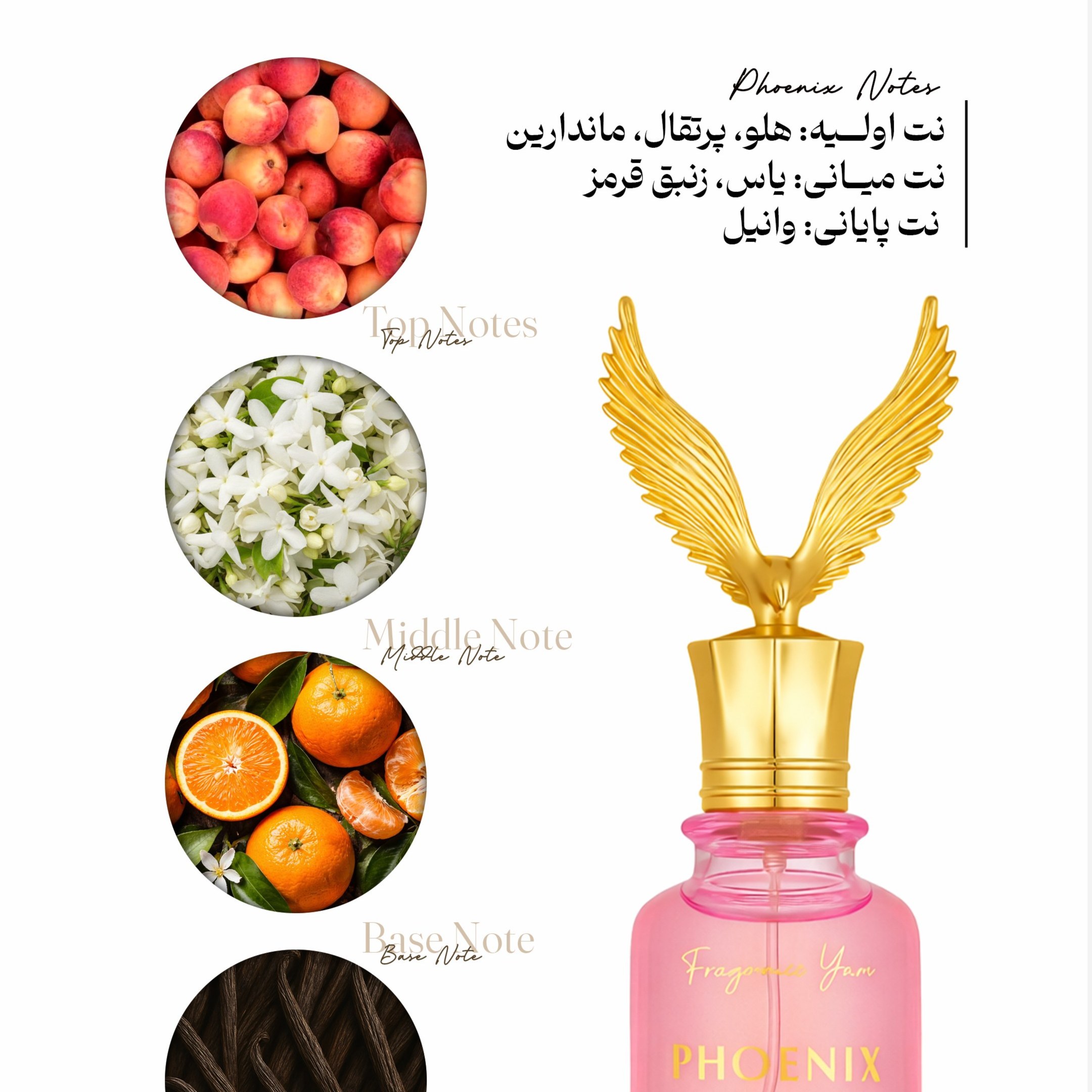 عطر زنانه ققنوس با رایحه معتدل حجم 50 میلی لیتر از برند عطریانی
