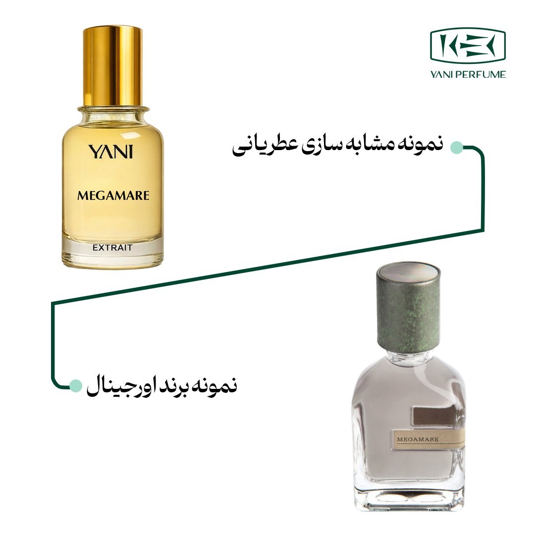 عطر مگاماره با رایحه معتدل حجم 50 میلی لیتر از برند عطریانی